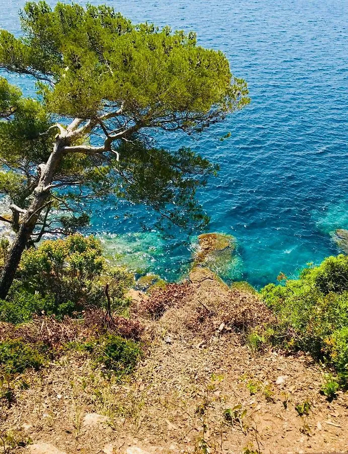 Appartement Mazet   Domaine de la pinède à Le Lavandou France